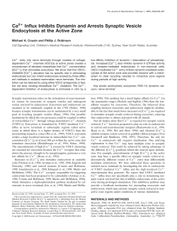Ca2+ Influx Inhibits Dynamin and Arrests Synaptic Vesicle