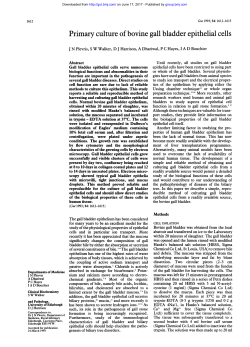 Primary culture of bovine gall bladder epithelial cells