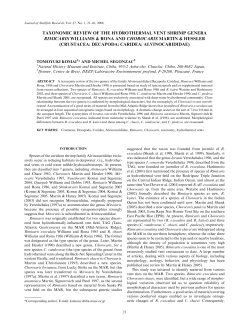 Taxonomic review of the hydrothermal vent shrimp genera Rimicaris