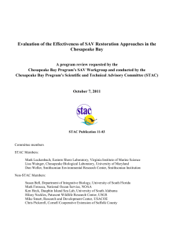 Evaluation of the Effectiveness of SAV Restoration Approaches in