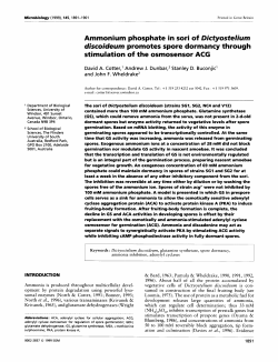 Ammonium phosphate in sori of Dictyostelium