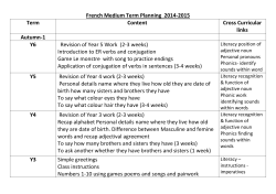 French Medium Term Planning
