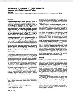 Mechanisms of Adaptation to Chronic Respiratory Acidosis in the