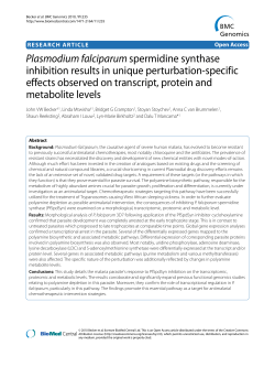 Plasmodium falciparum spermidine synthase inhibition results in
