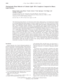 Thermotropic Phase Behavior of Cationic Lipid