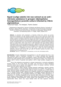 Squid (Loligo edulis) ink raw extract as an anti– vibriosis substance
