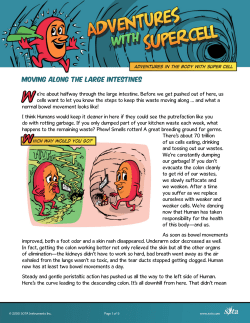Moving Along the Large Intestines