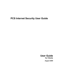 Internet Security Setup and Maintenance Guide