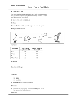 Energy Flow in Food Chains