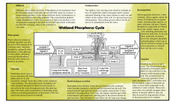Euducational Programming Report - Haliburton County Community