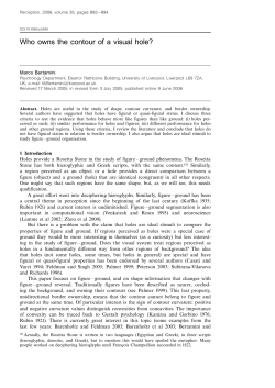 The Visual Hole - Semantic Scholar