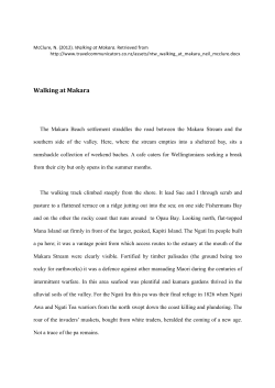 ntw_walking_at_makara_neil_mcclure