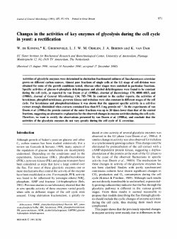 Changes in the activities of key enzymes of glycolysis during the cell