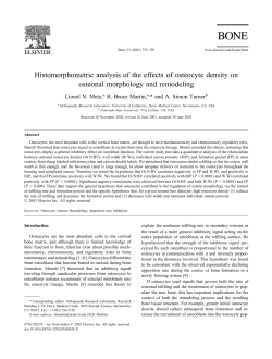 Histomorphometric analysis of the effects of osteocyte