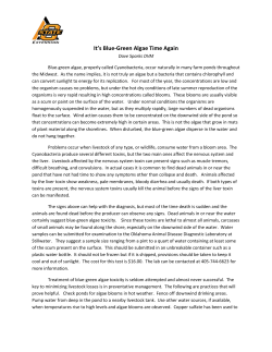 Blue-green algae - livestock