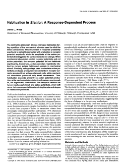 Habituation in Sfentor: A Response