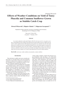 Effects of Weather Conditions on Yield of Tansy Phacelia and