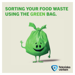 sorting your food waste using the green bag.