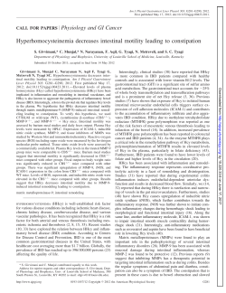 Hyperhomocysteinemia decreases intestinal motility leading to
