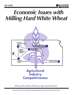 MF2499 Economic Issues with Milling Hard White
