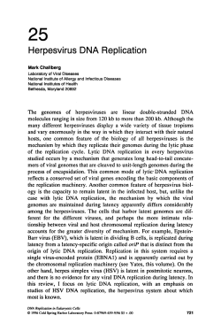 Herpesvirus DNA Replication