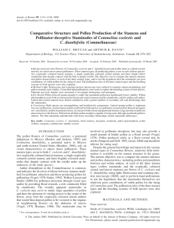 Comparative Structure and Pollen Production of the Stamens and