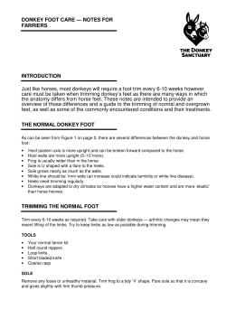 DONKEY FOOT CARE &mdash; NOTES FOR