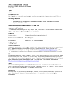 STRUCTURES OF LIFE SPRING Time When to Go Out Learning