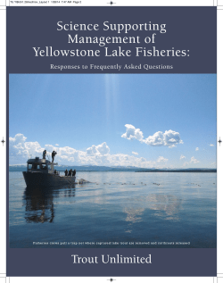 Science Supporting Management of Yellowstone Lake Fisheries: