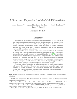 A Structured Population Model of Cell Differentiation