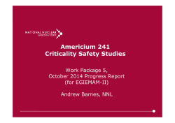 Americium 241 Criticality Safety Studies