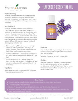 lavender essential oil