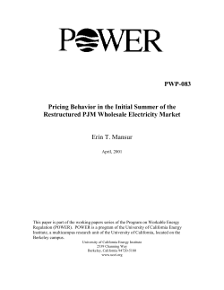 PWP-083 Pricing Behavior in the Initial Summer of the Restructured