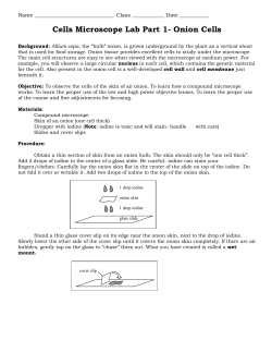 Cells Microscope Lab Part 1