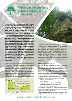 Implications of a potential REDD+ mechanism in Suriname