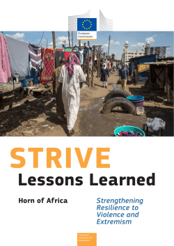 STRIVE Lessons Learned