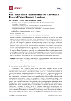 Plant Virus&ndash;Insect Vector Interactions: Current and Potential Future