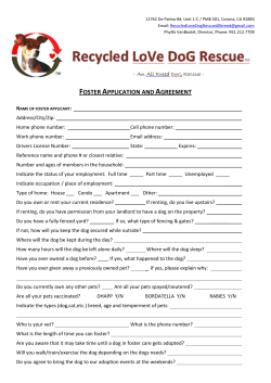 FOSTER APPLICATION AND AGREEMENT