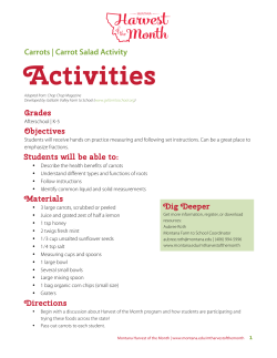 Afterschool Lesson - Montana State University