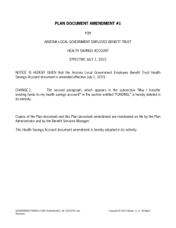 PLAN DOCUMENT AMENDMENT #1