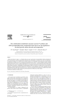 The carbohydrate metabolism enzymes sucrose