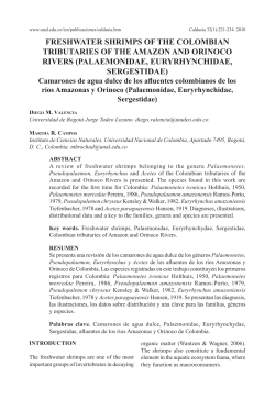 English  - SciELO Colombia