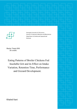 FULL-THESIS-KHALED-ITANI