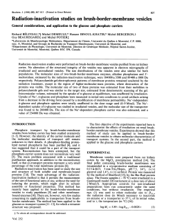 Radiation-inactivation studies on brush-border-membrane