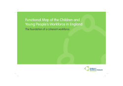 Functional Map of the Children and Young People`s Workforce in