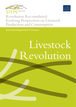 Revolution Reconsidered