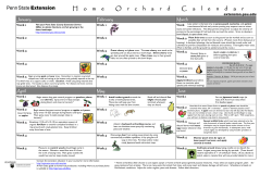 H ome O rchard C alendar