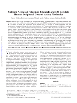 Calcium-Activated Potassium Channels and NO