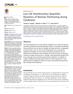 Live Cell Interferometry Quantifies Dynamics of Biomass Partitioning
