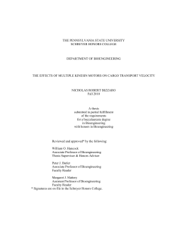 Schreyer_Honors_College_Thesis_